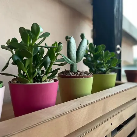 Blue Bay Appartement *